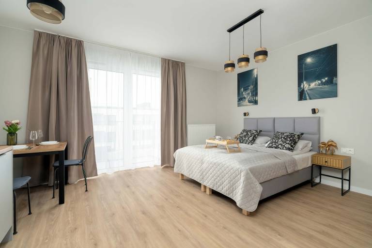 Apartament typu studio Jeżyce