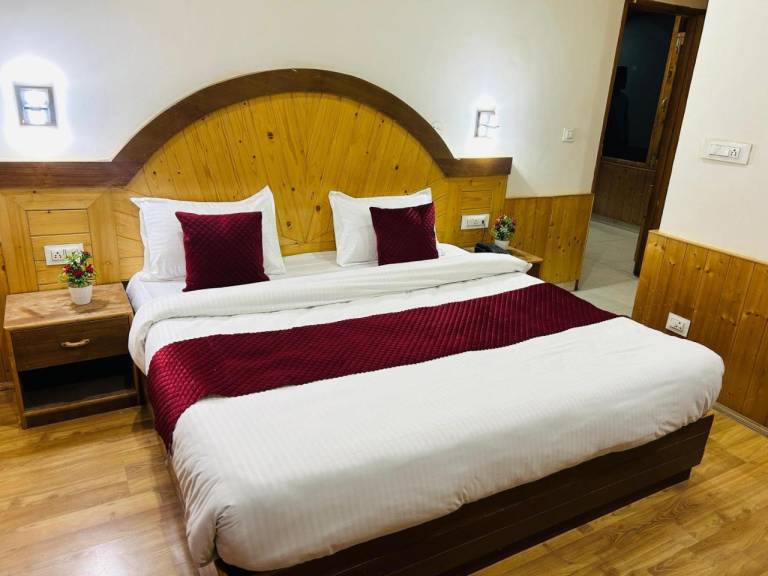 The Visor Hotel, Manali — photo 5