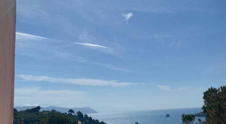 Beautiful holiday apartment with terrace | Good for workation | Pet-friendly in Portovenere