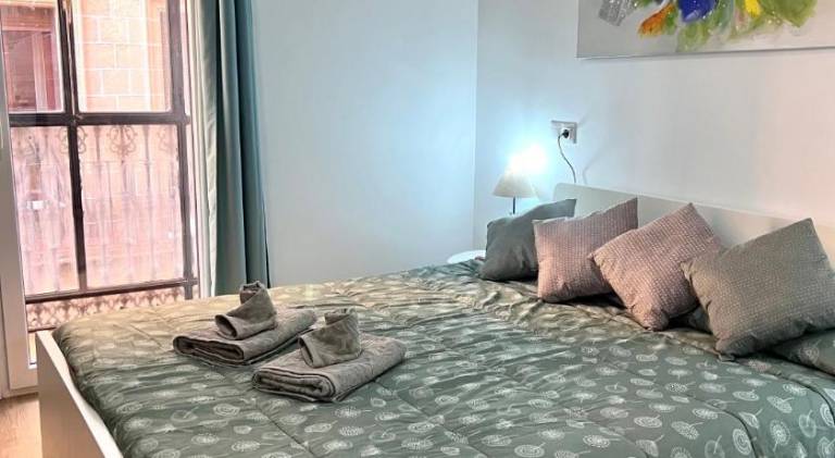 Pleasant rental apartment | Next to Alcázar of Jerez de la Frontera | Suitable for remote work | Pets are welcome in Jerez de la Frontera