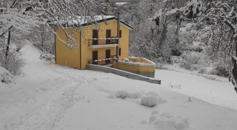 Villa Center appartamenti nel verde in citta — photo 4