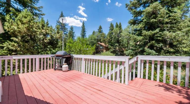 Gnome Chalet - Charming Big Bear country home! Amazing craftsmanship and with a Fenced Yard! — photo 4