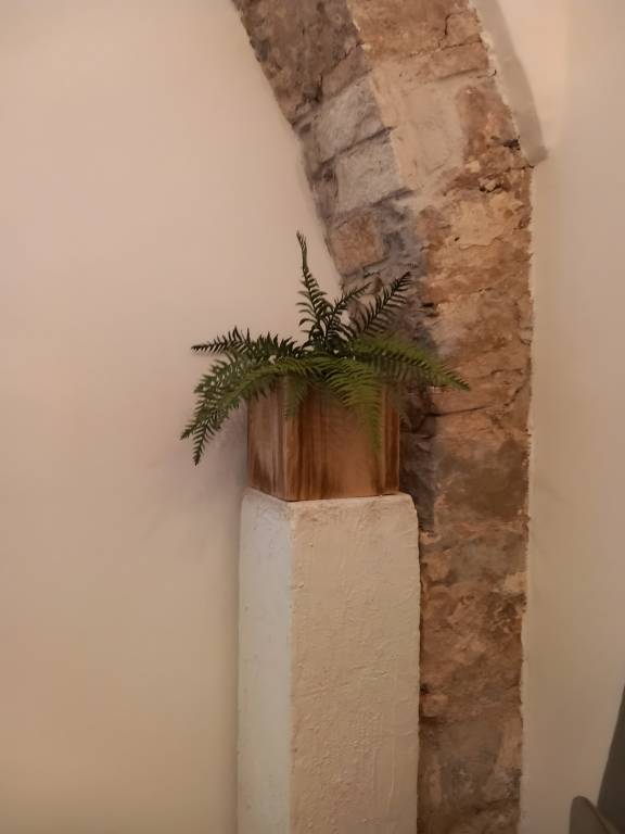 foto11