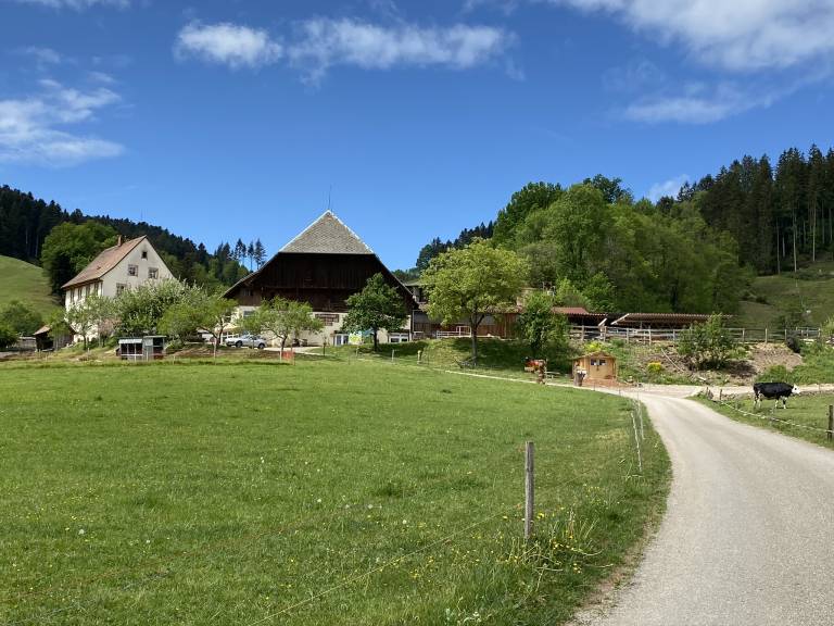 foto16