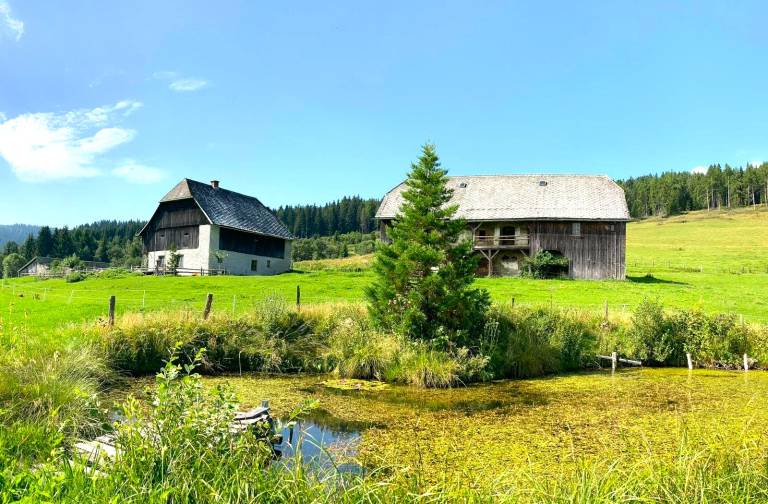 Ferienhaus Dürnstein in der Steiermark