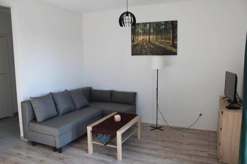 Apartament Rybnik