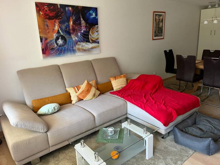 Beautiful rental apartment with barbeque & yard | Mountain view | Pets are welcome — photo 5