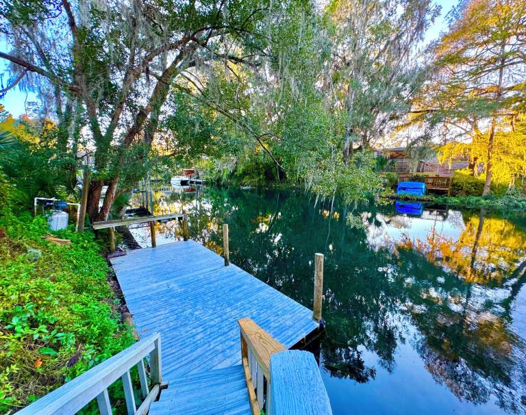 House Dunnellon