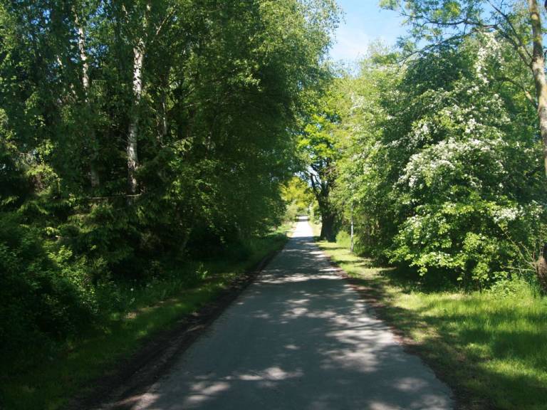 foto23