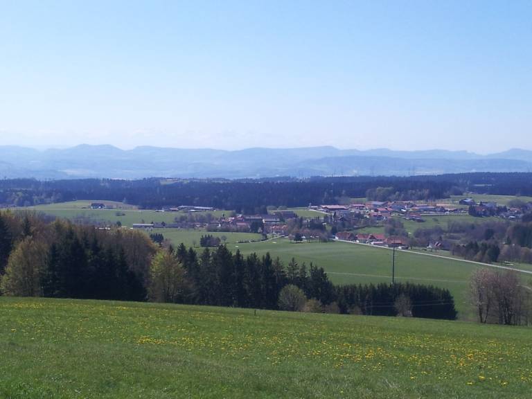 foto19