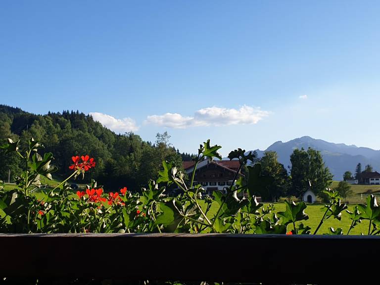 foto39