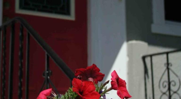 Bed and breakfast Surrey