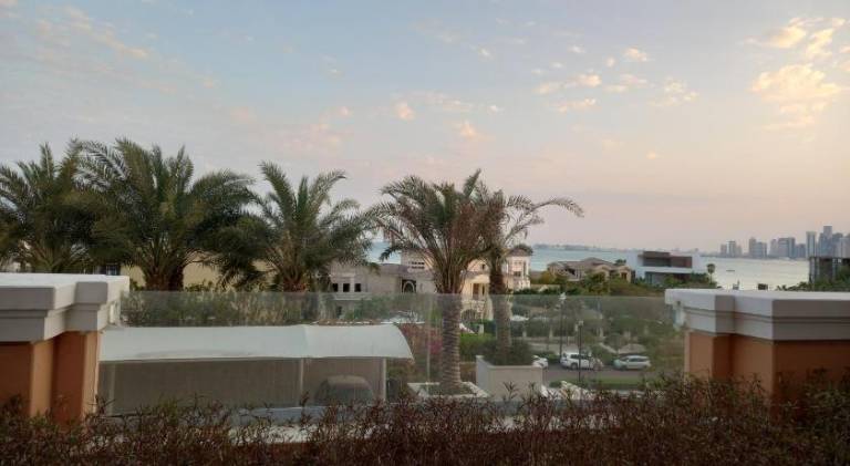 foto42