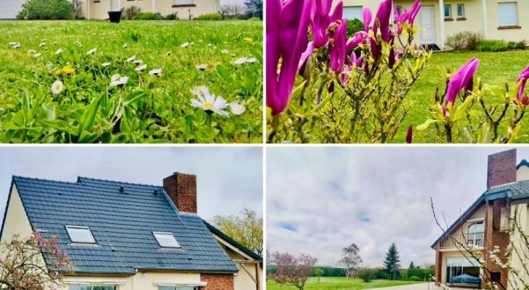Beautiful house | Dogs allowed in Montreuil