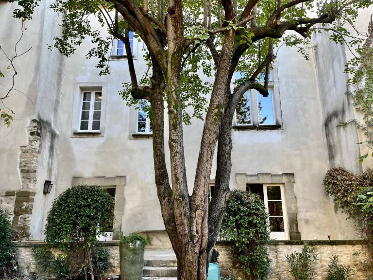 Le Clos Violette D'Aglaé in L'Isle-sur-la-Sorgue