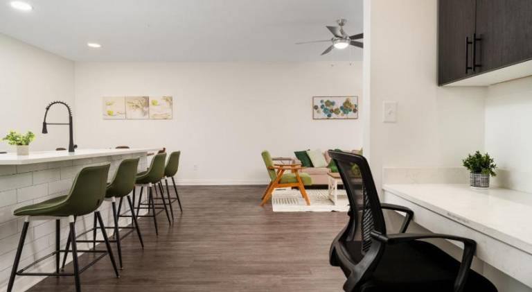 Golden Sun Spacious 1BR Pond View King Bed WFH Gym — photo 3