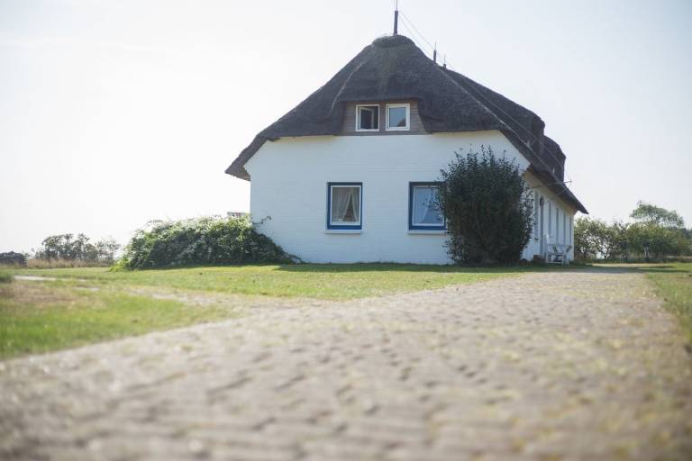 foto23