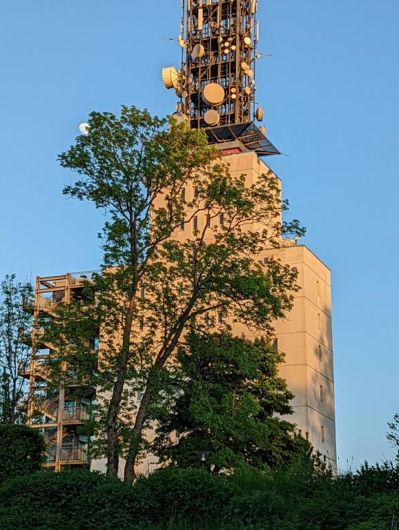 foto45