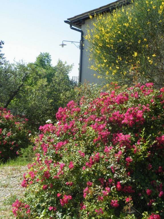 foto9