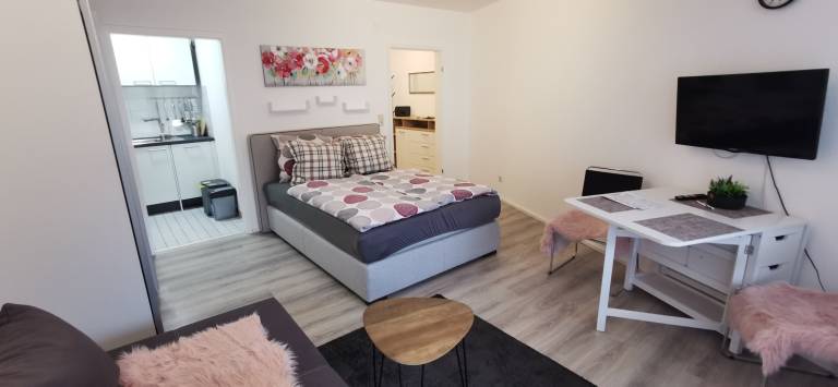 Rotkehlchen NO 27 BodenSEE Apartment Friedrichshafen