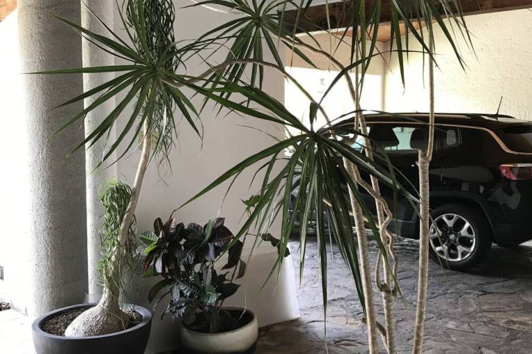 foto4