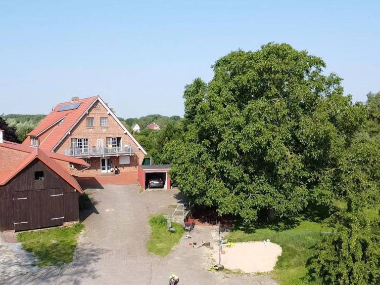 Apartment  Krautsand