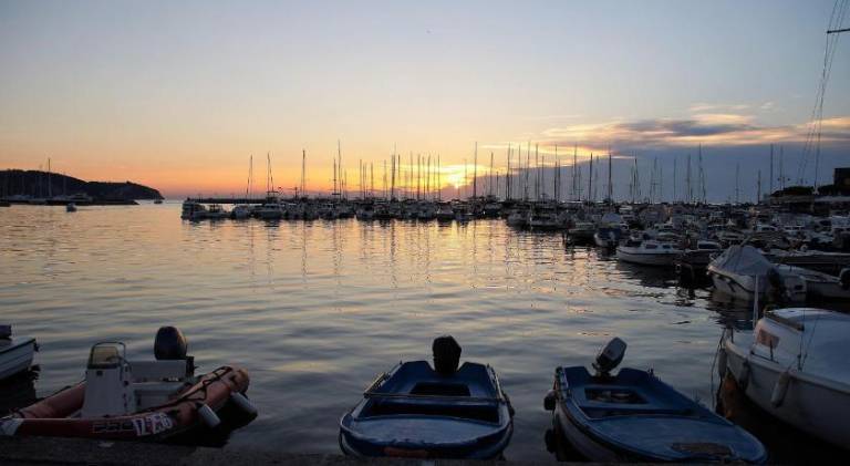 Rental apartment | Pets are welcome in Izola