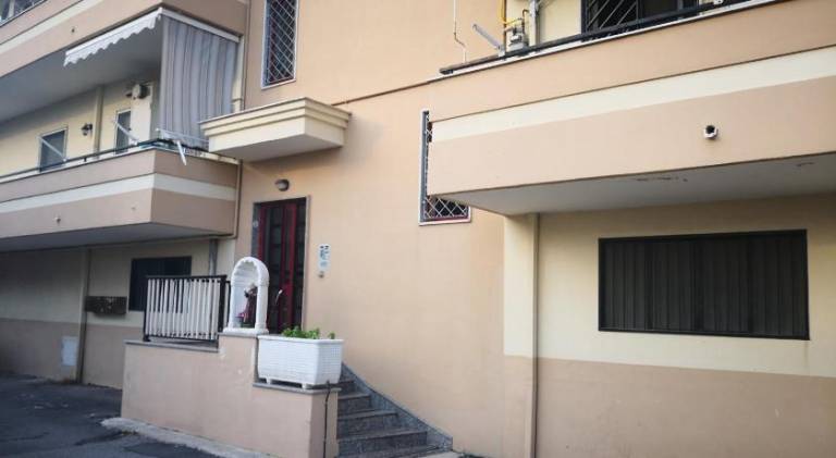 House with garden — photo 5