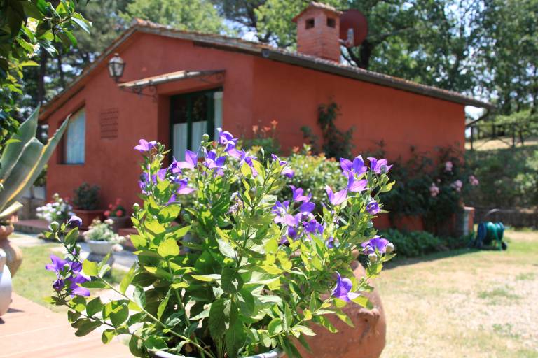Family-oriented charming chalet with pool, patio & garden | Pool view | Pet-friendly — photo 4