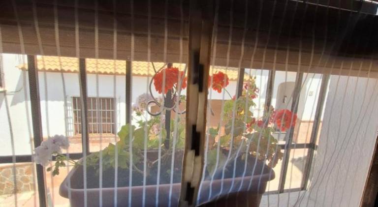 La madrilena — photo 4