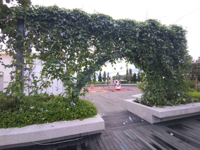 foto11