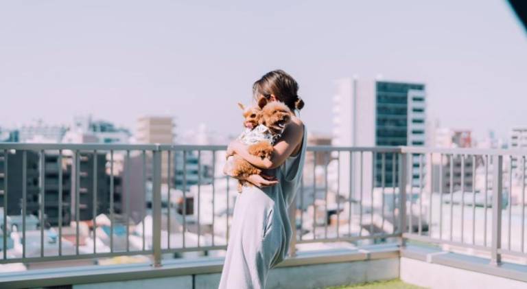 Holiday apartment | Suitable for remote work | Pets allowed — photo 5
