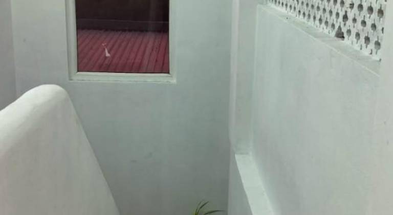 foto8