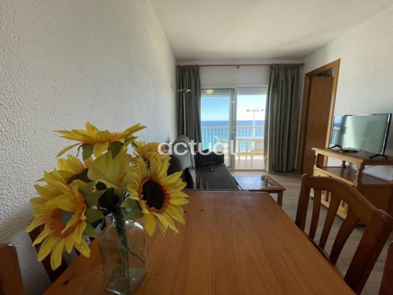 Holiday apartment with 1 room for 4 persons — photo 3