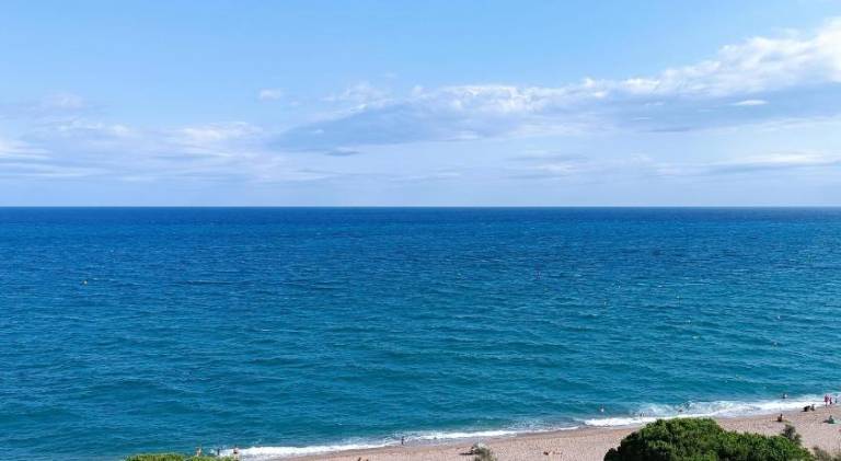 Holiday apartment | Close to the beach | Pets allowed — photo 4