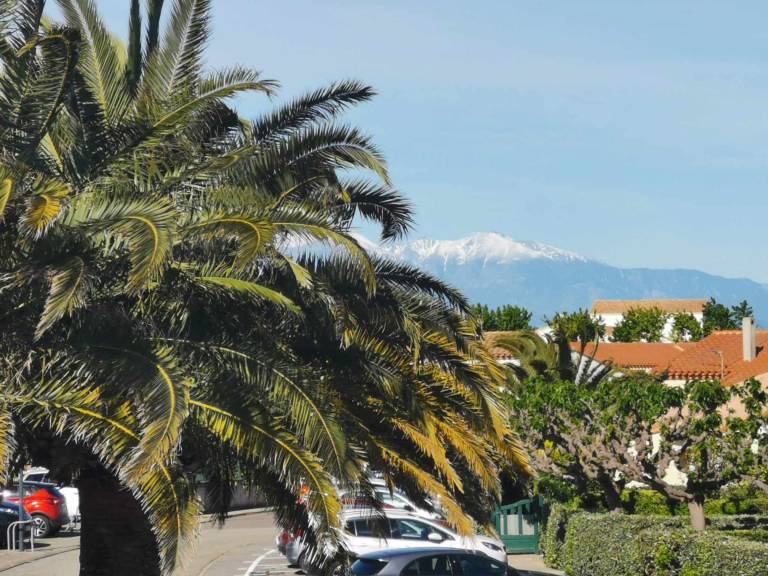 Appartement Saint-Cyprien