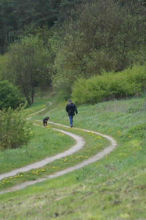 foto20