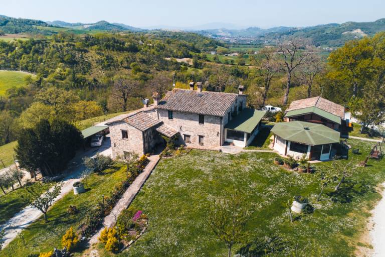 Pieve del Colle - Fattoria Biologica e Didattica: Fiordaliso — photo 3
