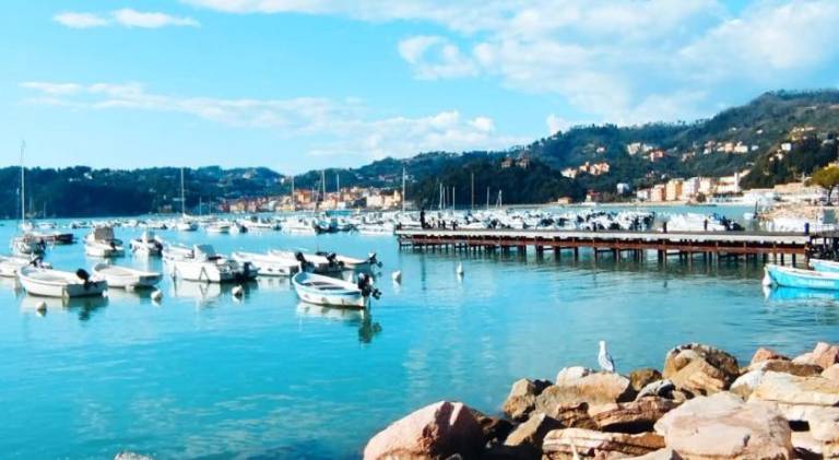 Nice holiday apartment | Beach nearby | Dogs allowed — photo 5