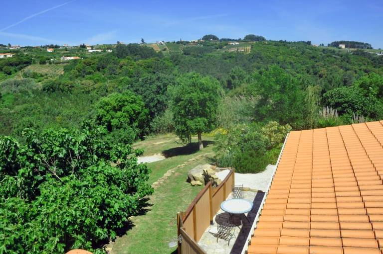 foto11