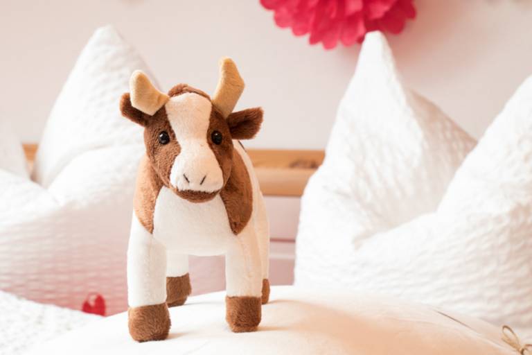 Ferienwohnung Rosenheim