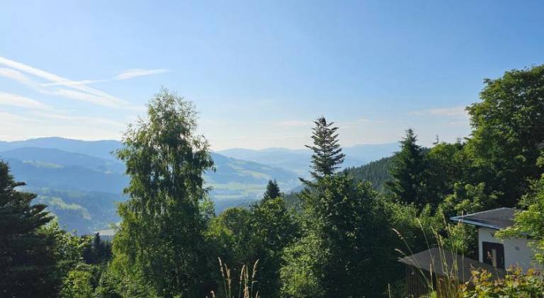 foto21