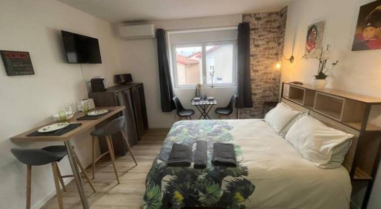 Pleasant rental apartment | Dogs allowed in Chasse-sur-Rhone
