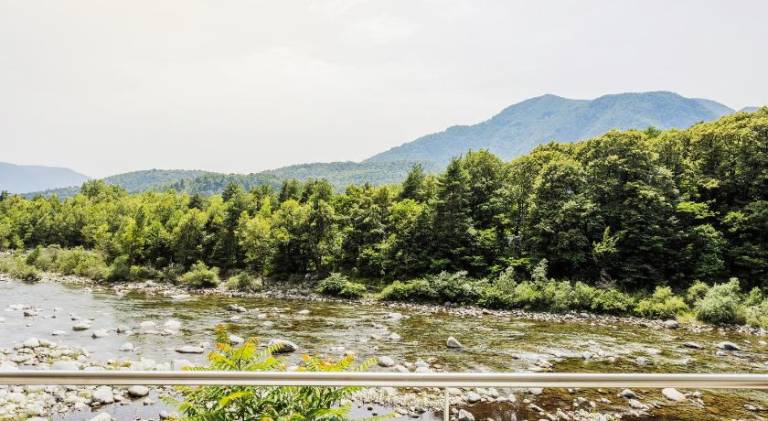 Fully equipped lovely vacation home with barbeque, garden & terrace | Next to the beach | Suitable for remote work | Dogs allowed in Losone