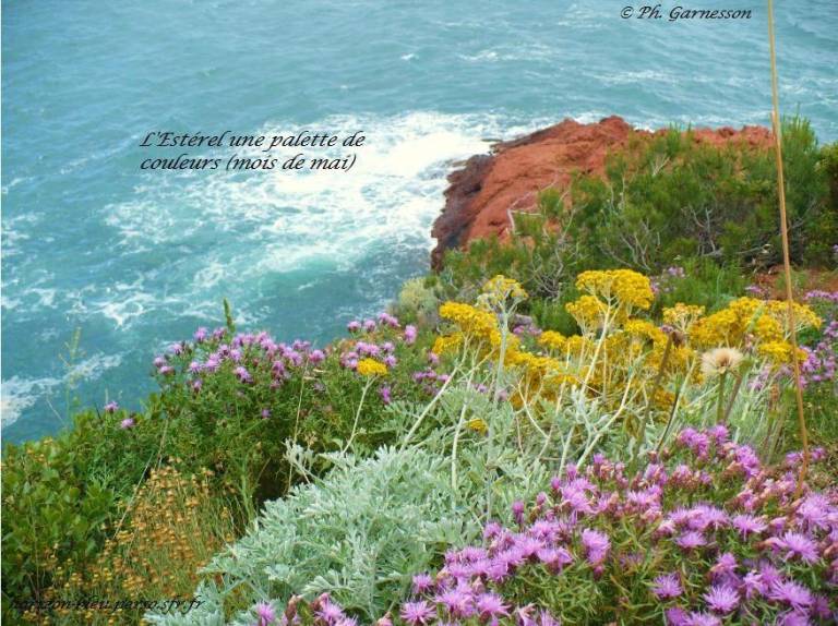 Ferienwohnung in Théoule-sur-Mer für max. 4 Personen Ferienwohnung in Théoule-sur-Mer für max. 4 Personen