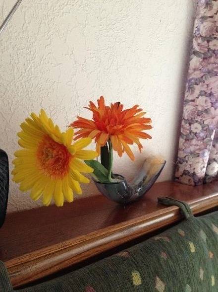 foto8