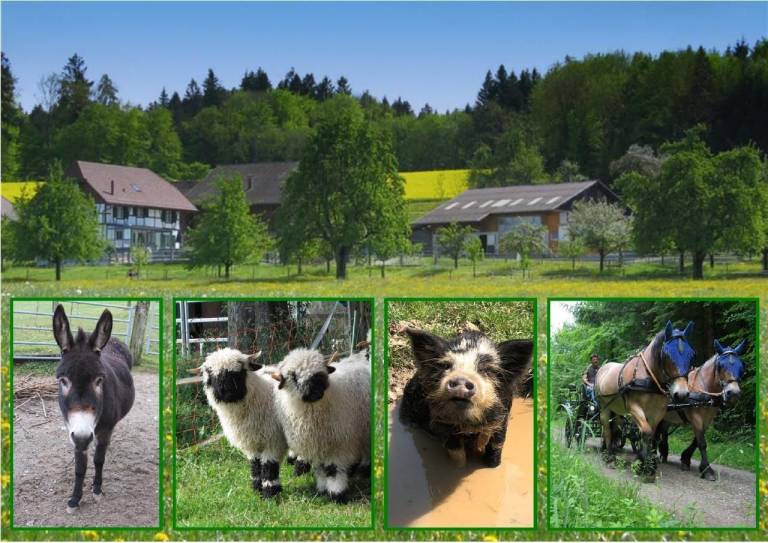 Ferienwohnung Winterthur
