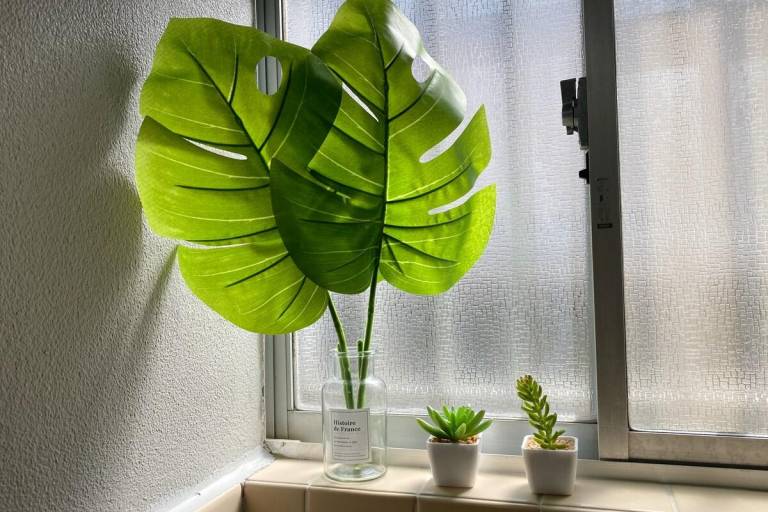 foto35