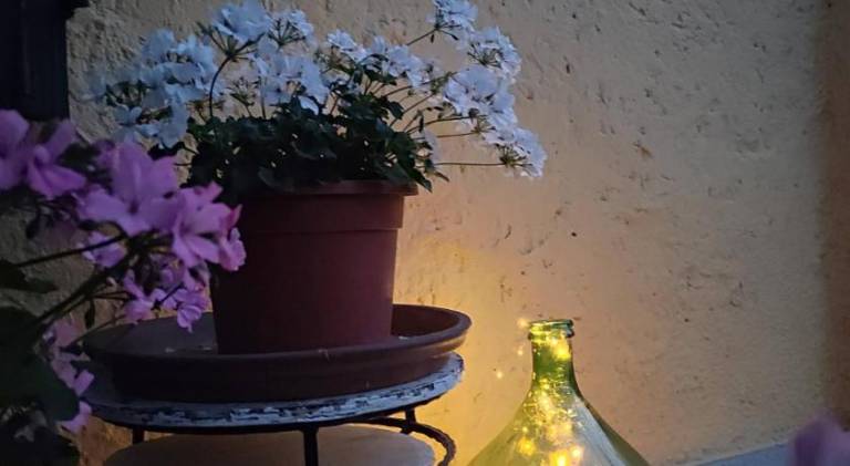 foto20