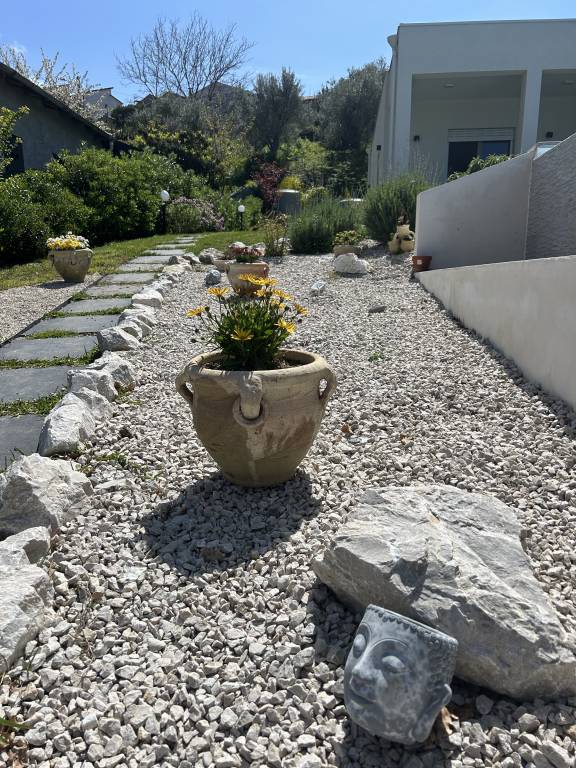 foto21